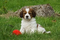 CHIOT